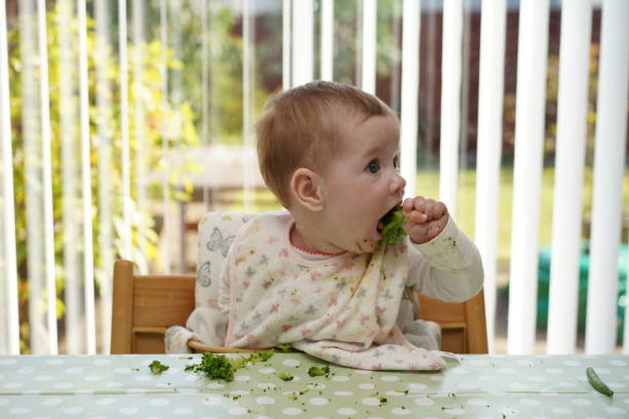 baby led weaning