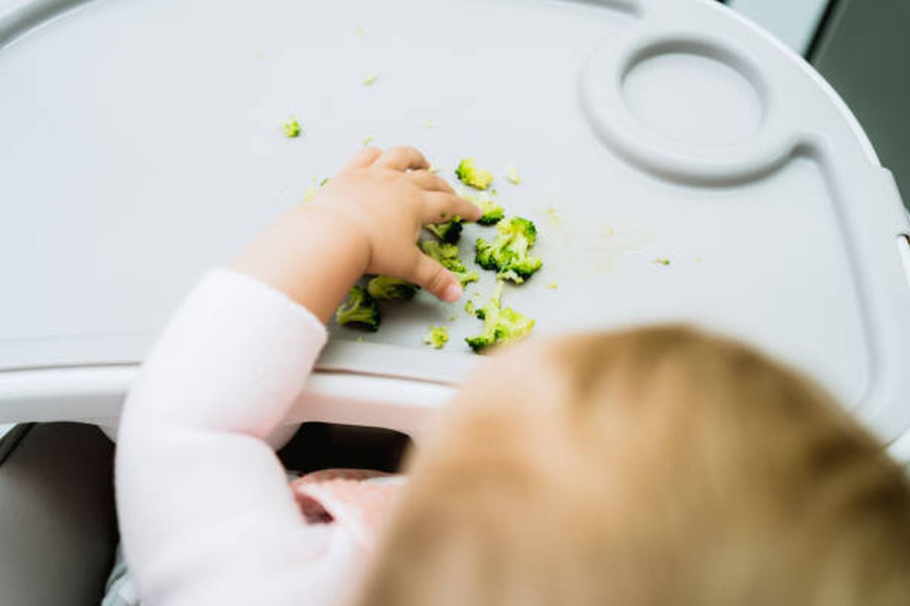 baby led weaning